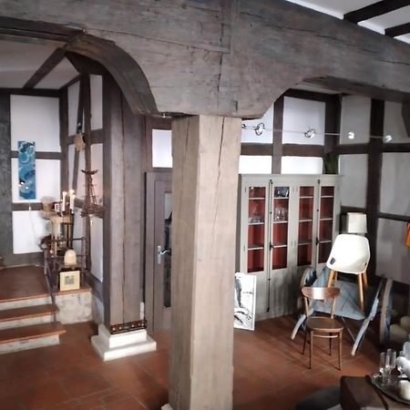 埃尔福特Historische Raume Uber Mittelaltergewolbe Mit Terrasse公寓 外观 照片