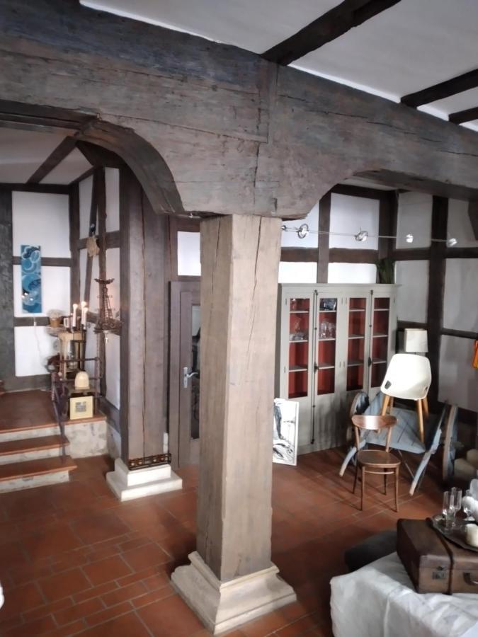 埃尔福特Historische Raume Uber Mittelaltergewolbe Mit Terrasse公寓 外观 照片